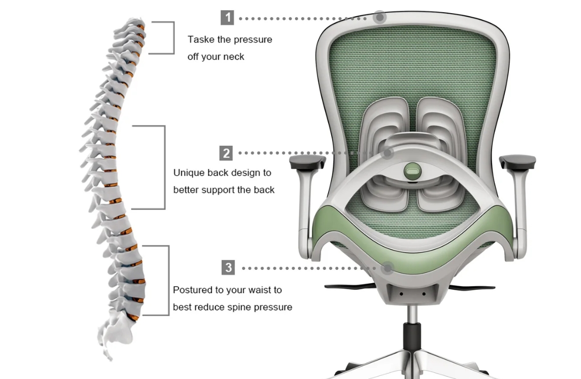 support design of office chair